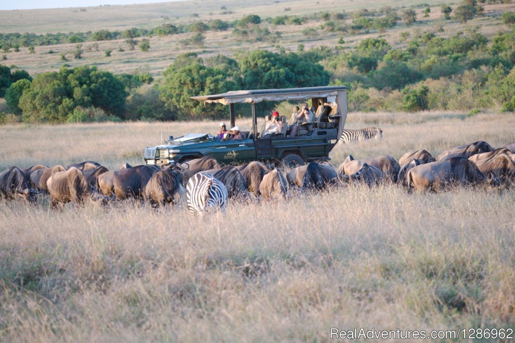 4 Days Lake Naivasha and Masai Mara Safari | Wildlife Tours in Africa | Image #9/9 | 