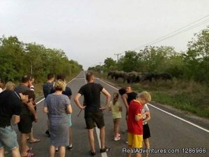 Experience the REAL Adventure in Northern Ghana | Kumasi, Ghana Wildlife & Safari Tours | Accra ,tema, Ghana