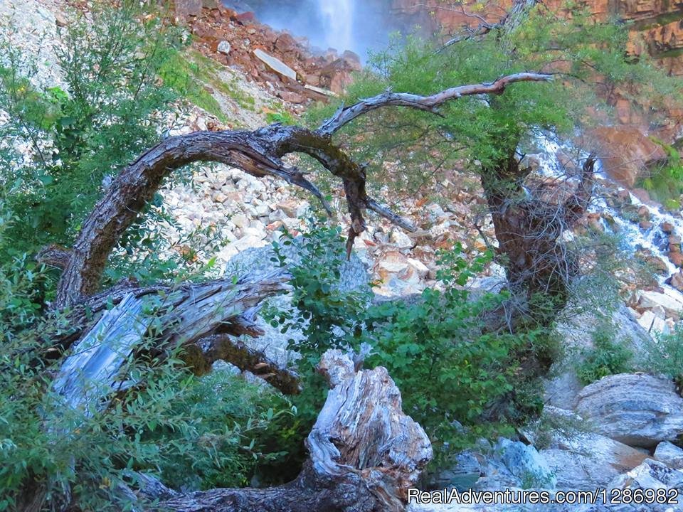 Canyons of Okatse | Martvili Canyon and Waterfall Day Trip from Kutais | Image #4/4 | 