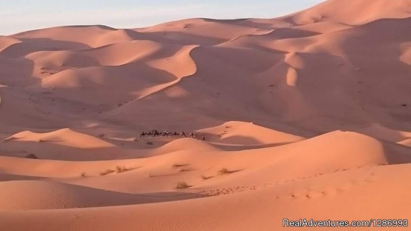 Sahara Desert Tours / Morocco Tours and Excursions | Image #24/27 | 