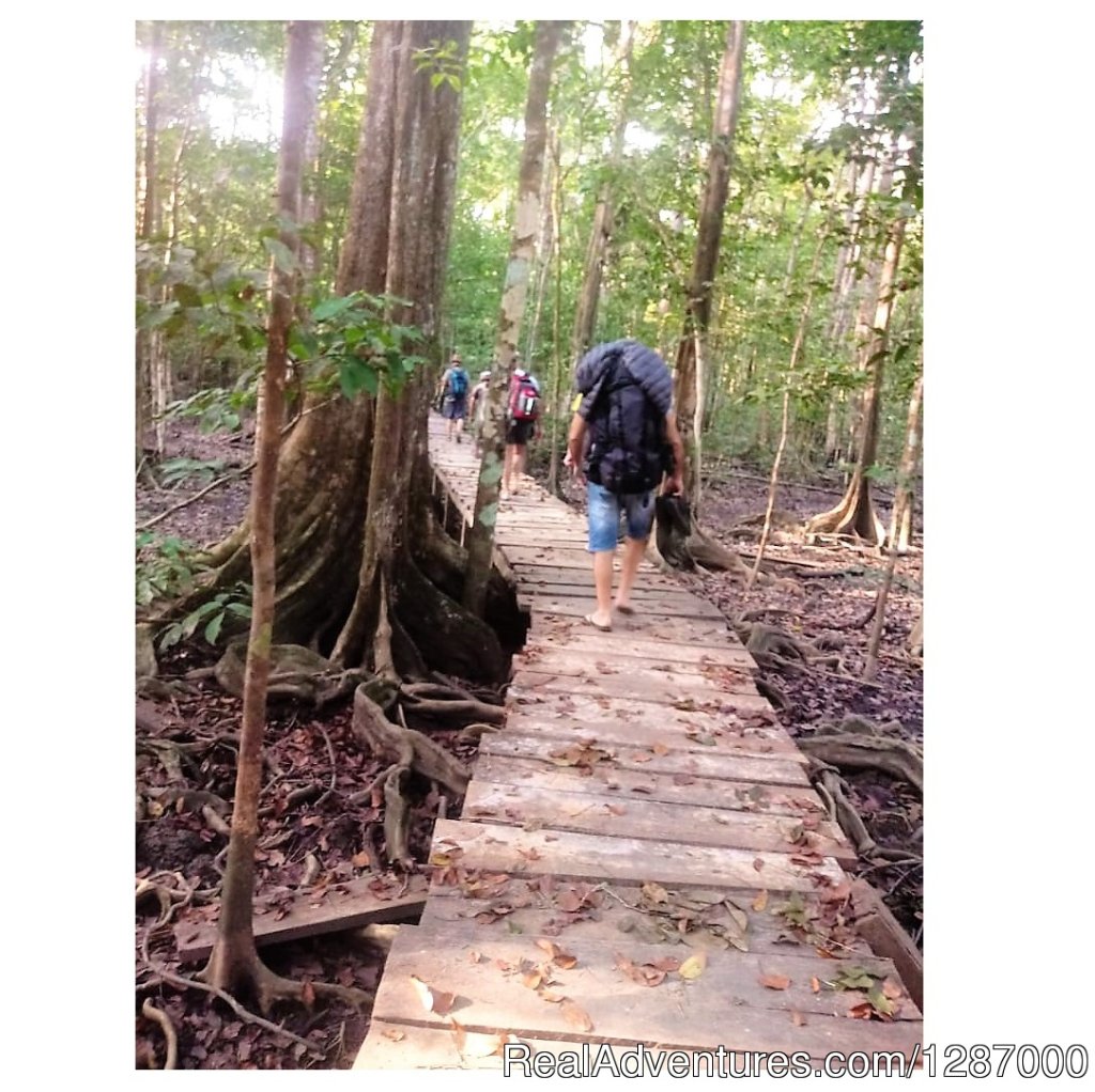 Jungles of Darien | Darien Gap Jungle Expedition - Panama | Image #3/11 | 