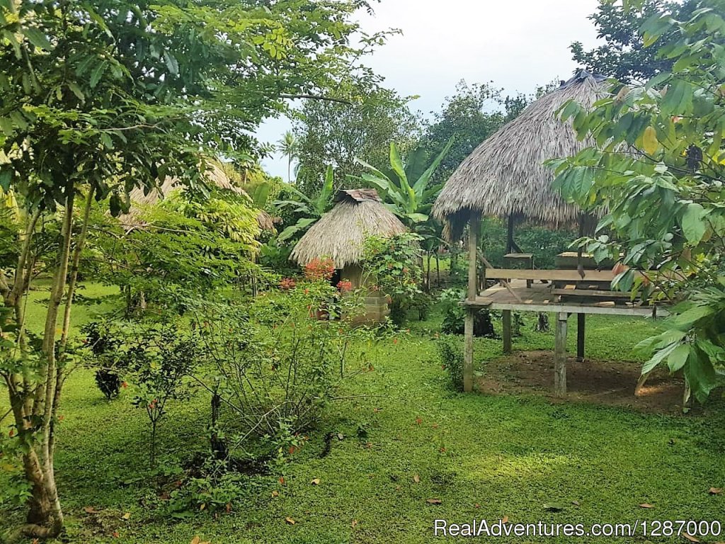 Cabins | Darien Gap Jungle Expedition - Panama | Image #6/11 | 