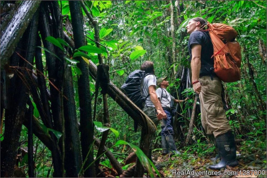 Exploring Darien | Darien Gap Jungle Expedition - Panama | Image #7/11 | 