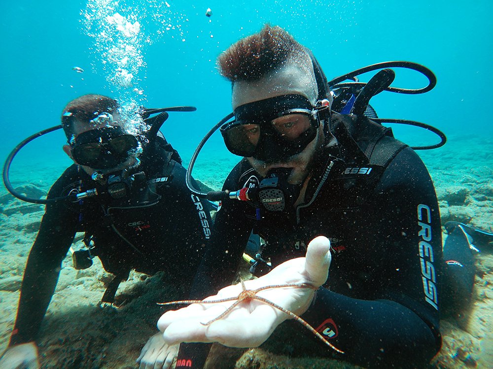 Try Scuba diving - Explore Crete underwater | Image #7/9 | 