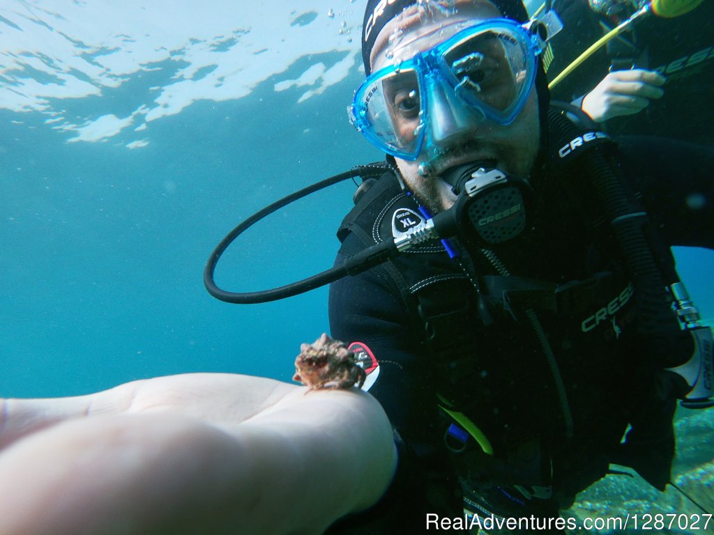 Try Scuba diving - Explore Crete underwater | Image #2/9 | 