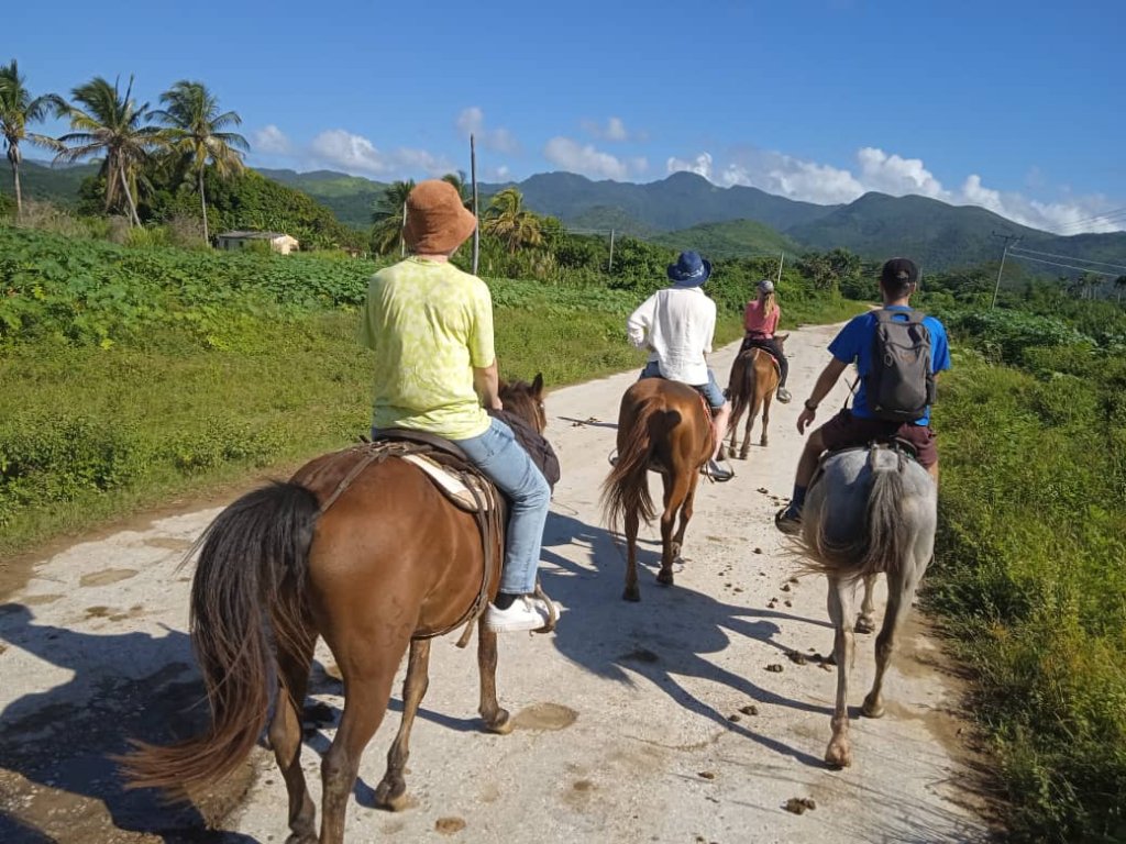 Horseback Riding Tours | Horseback Riding Tours,trinidad.cuba | Image #5/10 | 