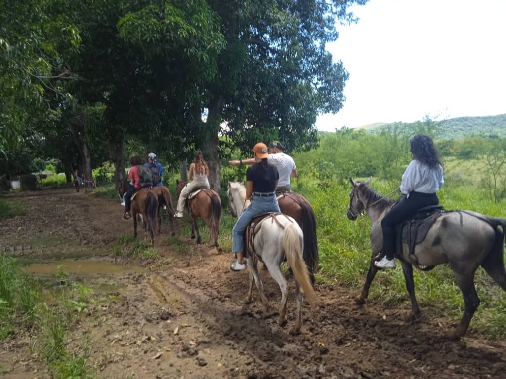 Horseback Riding Tours | Horseback Riding Tours,trinidad.cuba | Image #7/10 | 