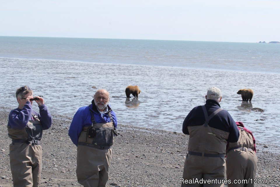 Bear Viewing in Alaska | Bear Viewing In Alaska | Image #5/8 | 