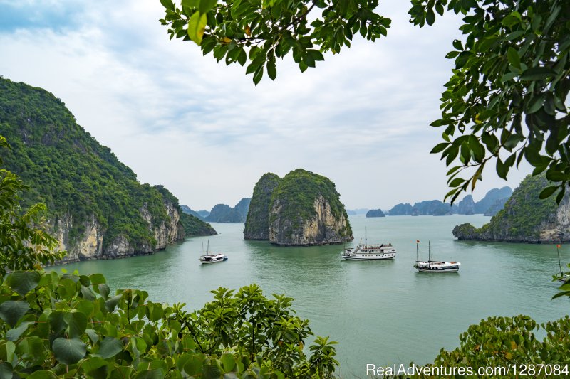 Halong Bay | Thienphuoc travel - Satisfy your passion | Image #3/3 | 