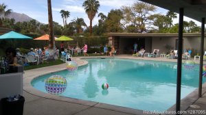 Mr. Palm Springs Mid-Century Architecture Tour | Palm Springs, California Sight-Seeing Tours | Lake Havasu City, Arizona