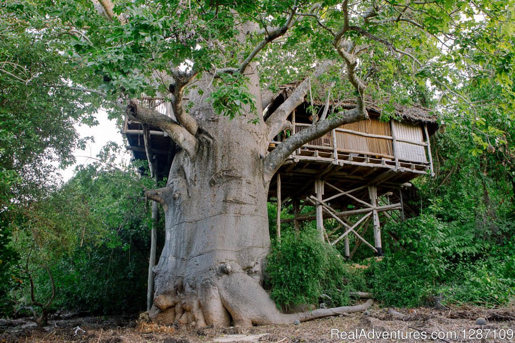 Treehouse Living | Mafia Island - Make every breath count | Image #3/5 | 