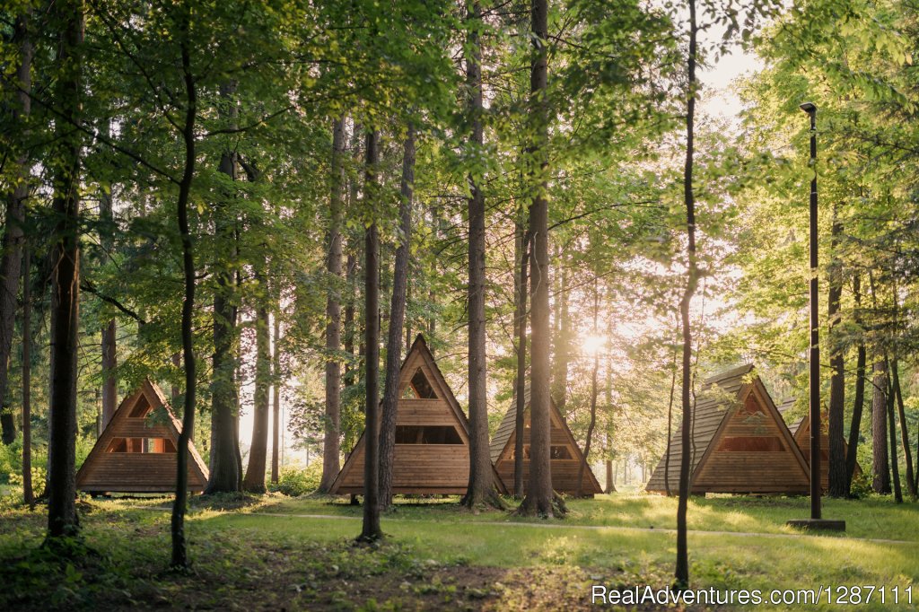 Huts 'forest Bed' | Forest Camping Mozirje | Mozirje, Slovenia | Campgrounds & RV Parks | Image #1/29 | 