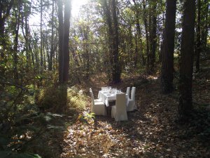 Italian cooking class and lunch in the wood | Sesto Calende, Italy Cooking Classes & Wine Tasting | Italy