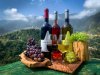Skywalk & Professional Wine Experience. | Madeira Island, Portugal