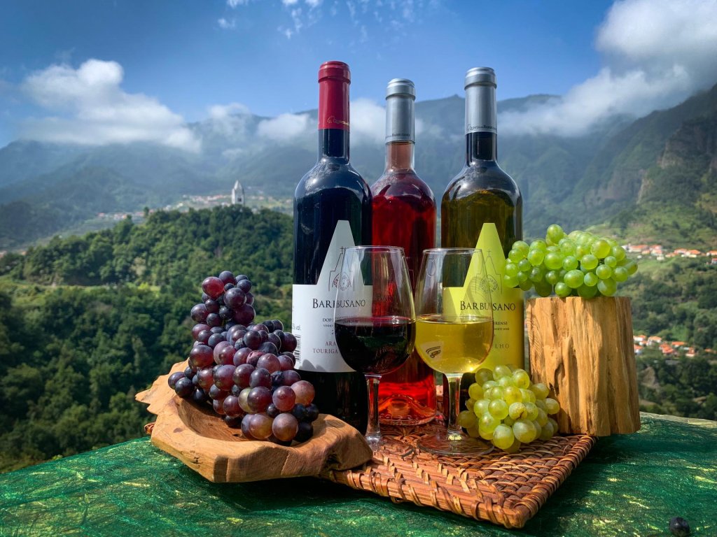 Skywalk & Professional Wine Experience. | Madeira Island, Portugal | Eco Tours | Image #1/15 | 