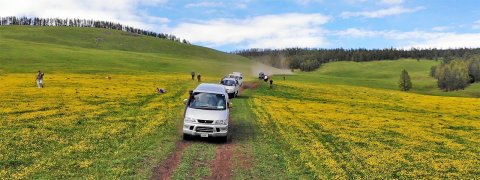 Mongolia Overland Tours