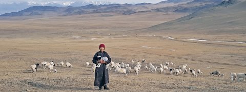 Mongolia Homestay Tours