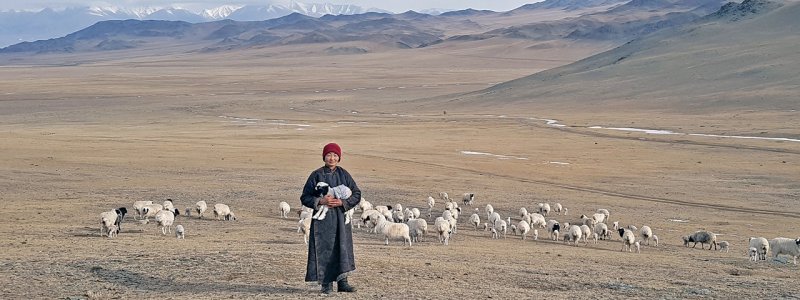 Mongolia Homestay Tours | Mongolian Ways | Image #5/6 | 