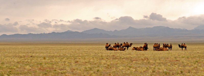 Mongolia Gobi Desert Tours | Mongolian Ways | Image #6/6 | 