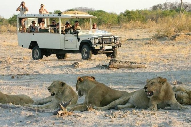 Chobe Full Day Trip | Adorable Travel and Tours | Livingstone, Zambia | Wildlife & Safari Tours | Image #1/3 | 