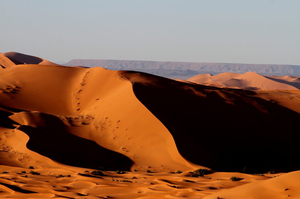 Merzouga Desert Sand Dunes | Tours in Morocco | Image #9/20 | 