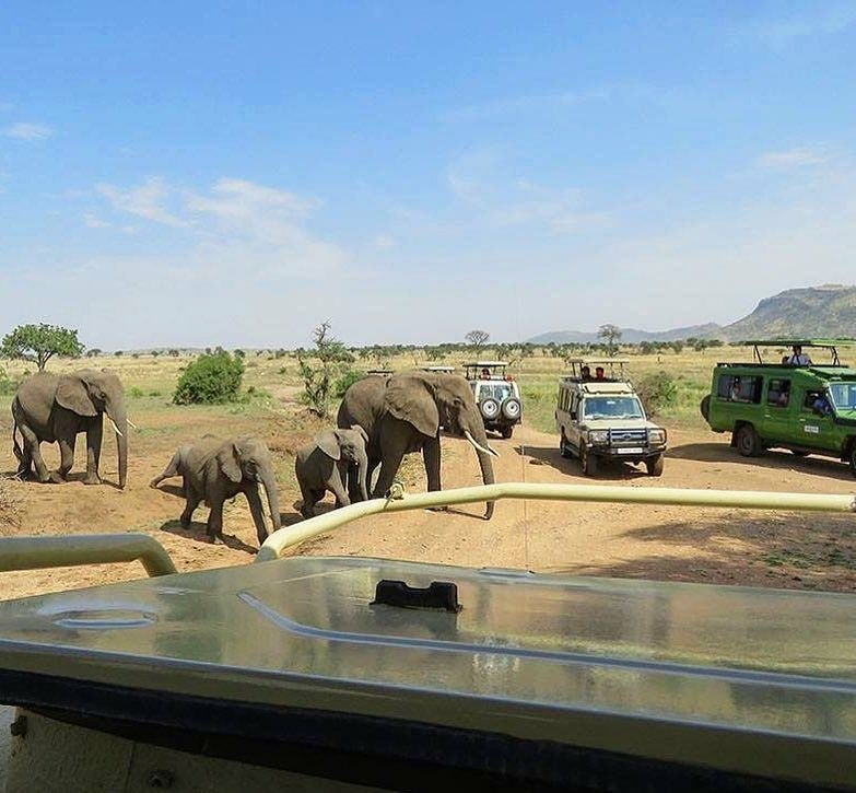 5 Days 4 nights Tanzania luxury safari | Image #15/19 | 