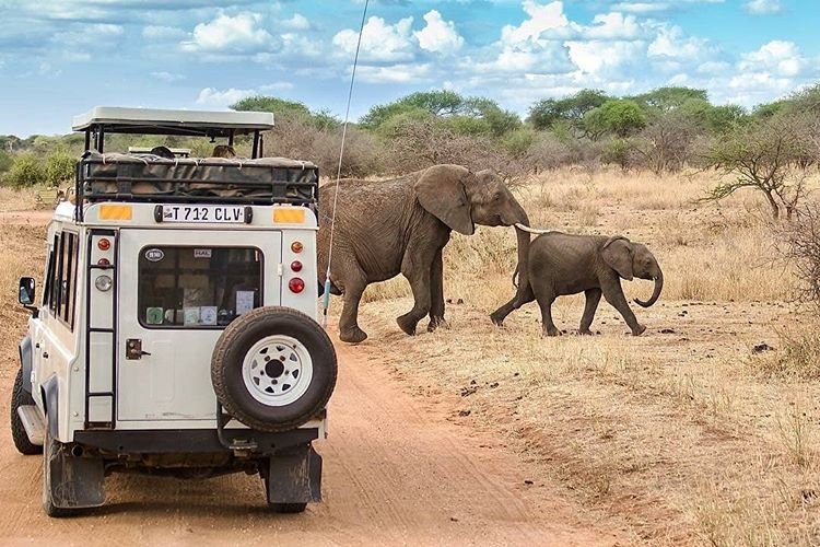 5 Days 4 nights Tanzania luxury safari | Image #13/19 | 