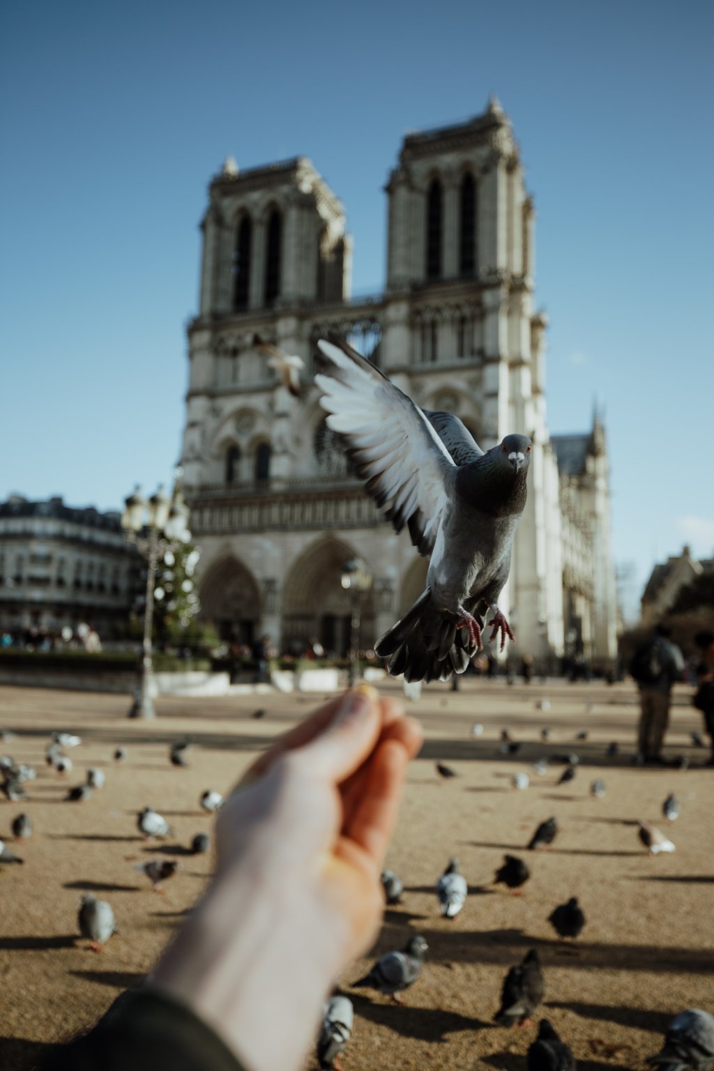 Notre Dame & Latin Quarter | Paris Notre Dame & Latin Quarter Guided Tour | Image #2/7 | 