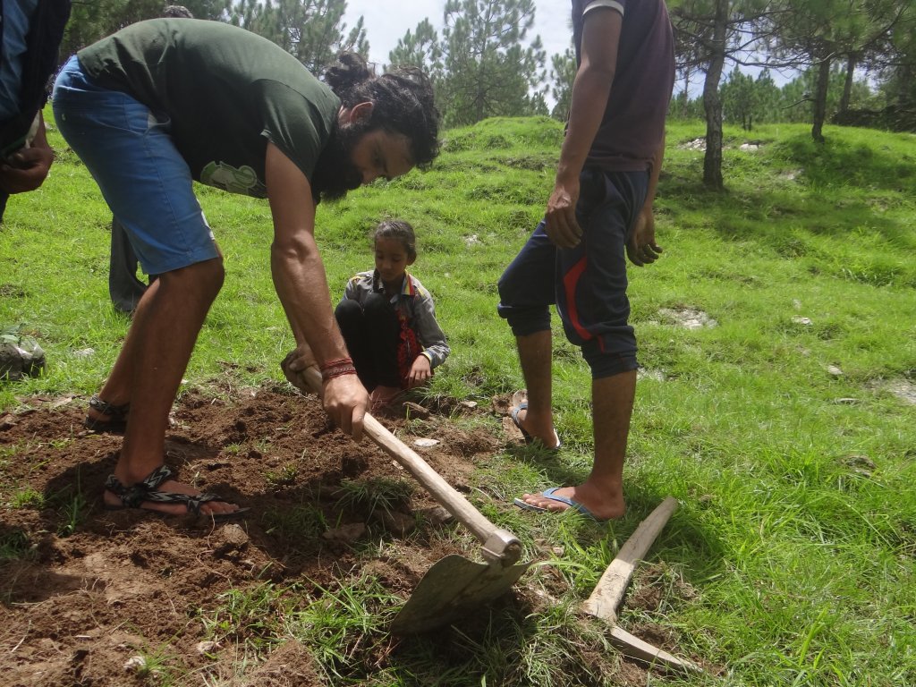 Digging Holes For Plantation | Life in a Pahadi Village | Image #2/4 | 