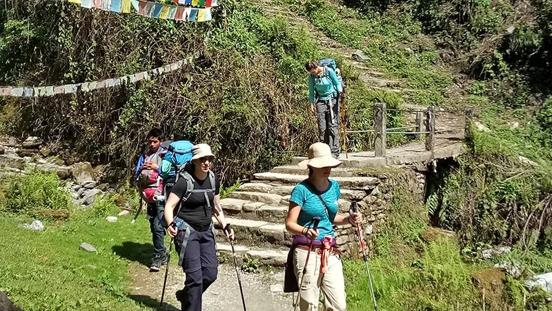 Poon Hill Trekking | Popular trekking's & tours with yoga in Nepal | Image #6/16 | 