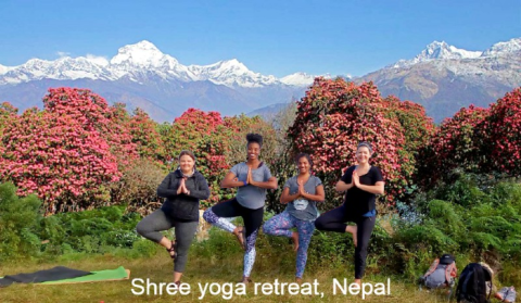 Yoga With Himalayas