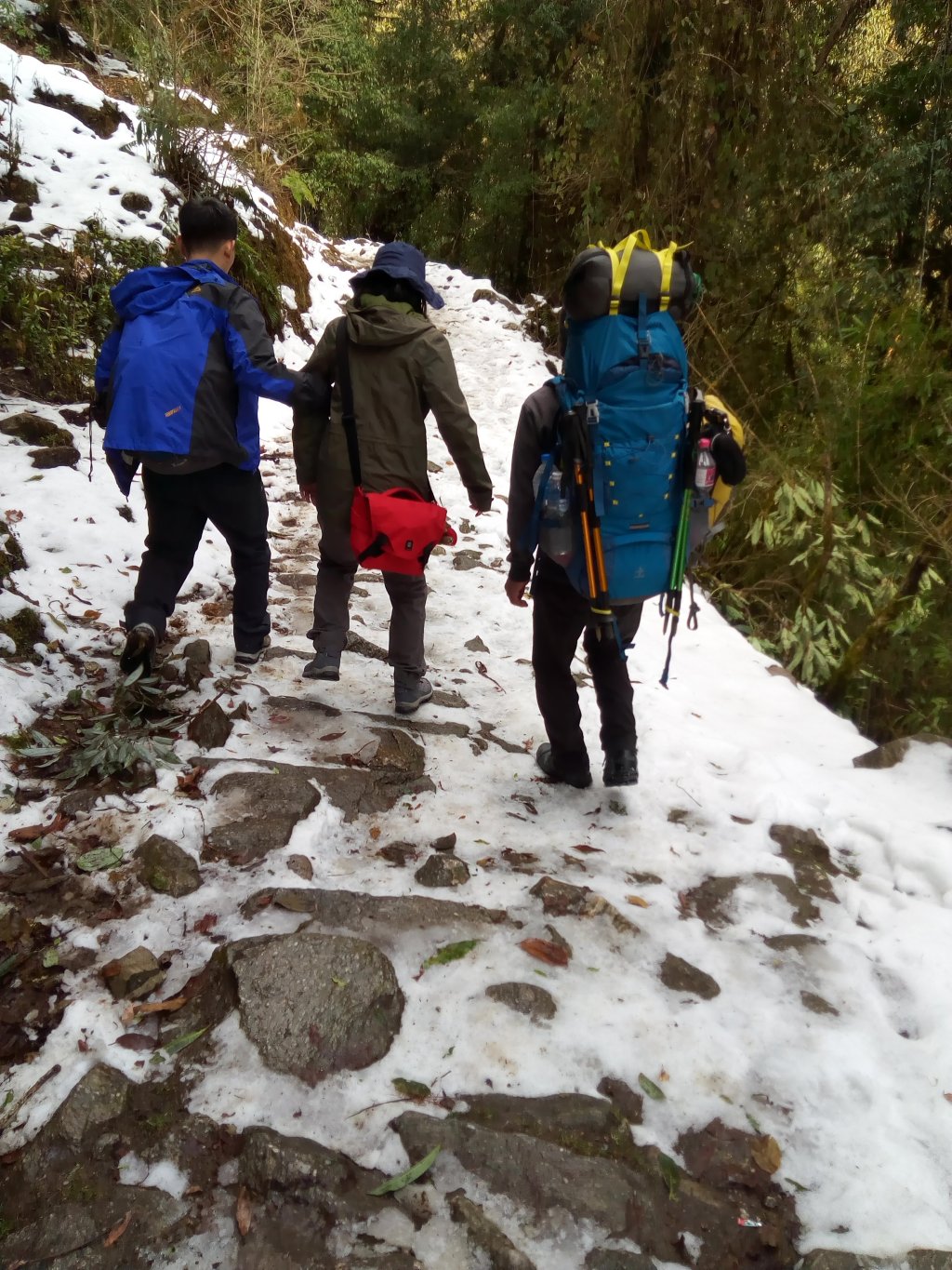 Walking On The Snow | Popular trekking's & tours with yoga in Nepal | Image #5/16 | 