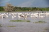 4 Days Tanzania Private Safari | Moshi, Tanzania