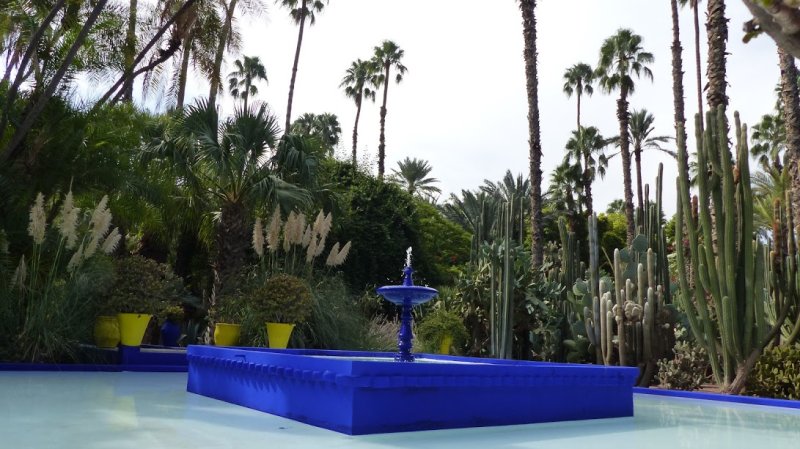 Majorelle Gardens In Marrakech | Morocco Itinerary Tours | Image #10/10 | 