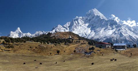 View From Syangboche