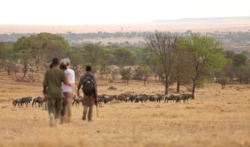 Walking Safaris | Alaitol Safaris | Image #9/9 | 