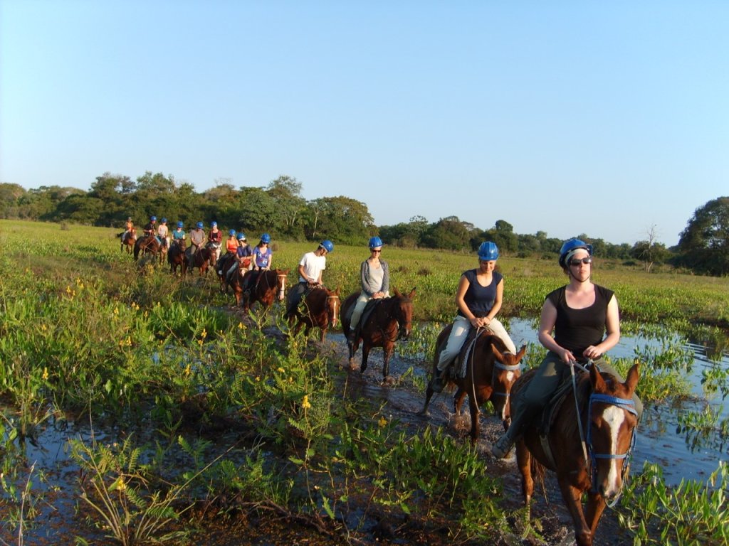Pantanal Tour | Image #28/36 | 