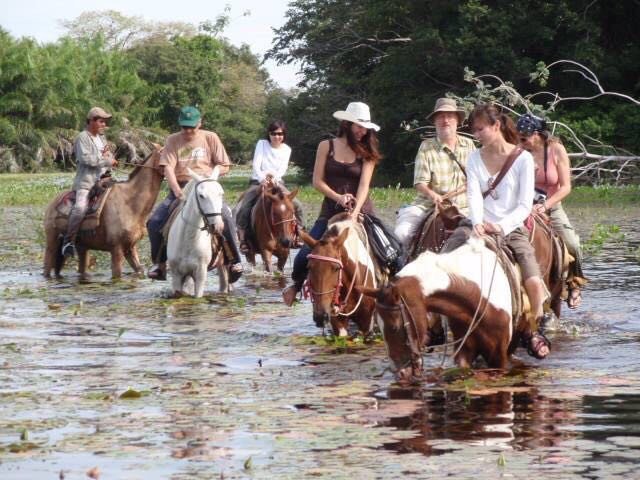 Pantanal Tour | Image #26/36 | 