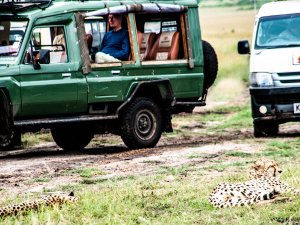 3 days Masai Mara Group Adventure Camping Tour | Masai Mara, Kenya Sight-Seeing Tours | Nairobi, Kenya Tours