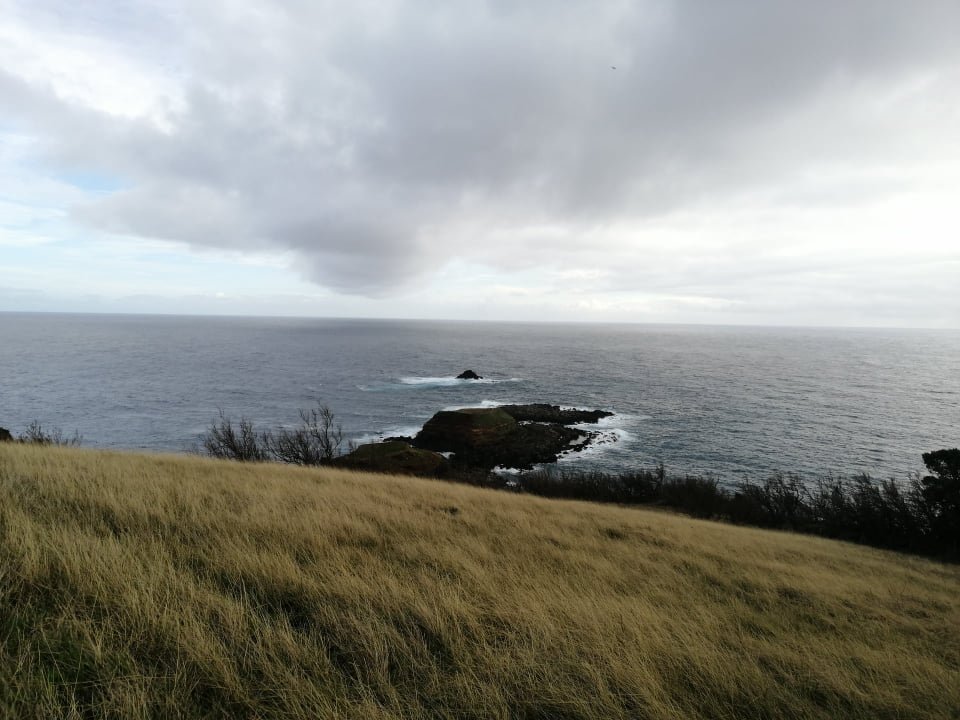 Hiking Trails In Terceira Island, Azores | Image #2/4 | 