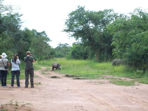 Nature Walk In The Rhino Sactuary