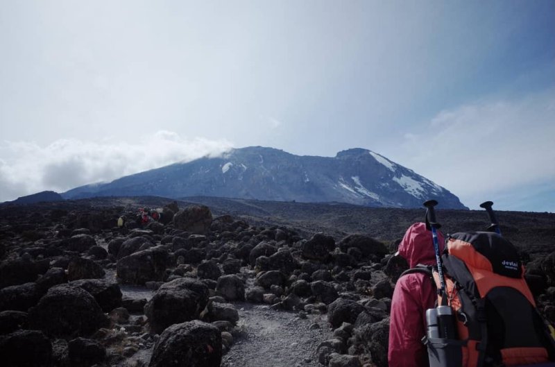 6 Days Machame Route Mt.kilimanjaro | Image #3/4 | 