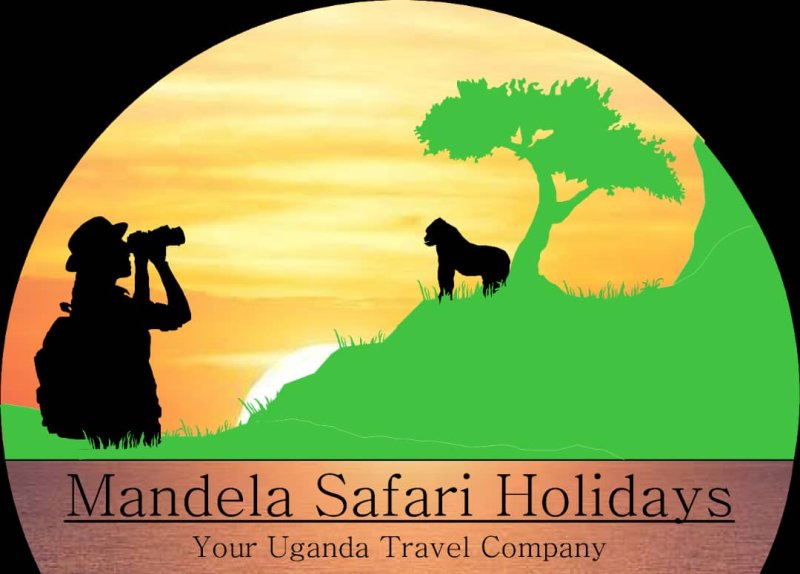 Mandela Safari Holidays | Image #3/4 | 