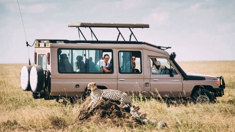 Tanzania Tour Safari - Tanzania Safari Specialist