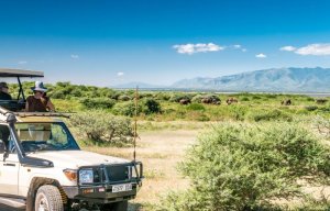 5 Days Safari Tours in Northern Tanzania