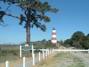 Sapelo Island Tours | Darien, Georgia Sight-Seeing Tours | Folly Beach, South Carolina