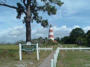 Sapelo Island Half Day Tour | Darien, Georgia Sight-Seeing Tours | Saint Augustine Beach, Florida