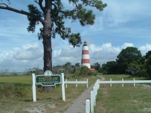 Sapelo Island Half Day Tour Photo