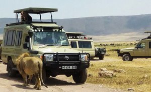 4 Days Tented Camps Safari