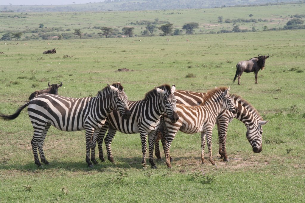 YHA Kenya Travel | Image #23/41 | 